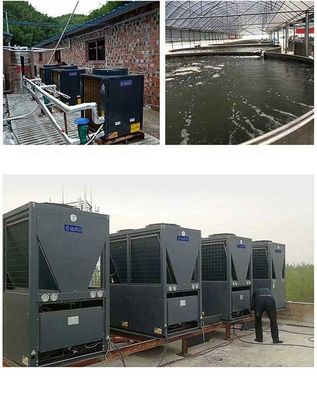 Pompe à chaleur de piscine d'inverseur de C.C d'ERP R32 de R410A A+++ air-eau