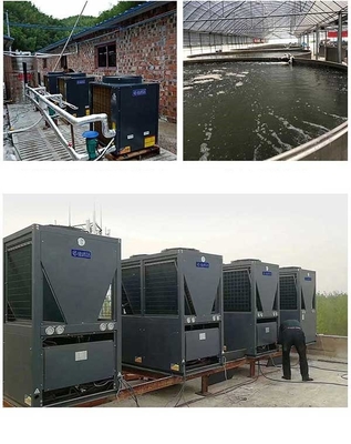 L'eau Heater Residential de pompe à chaleur de source d'air du CO2 R744 90 degrés avec le compresseur de Dorin